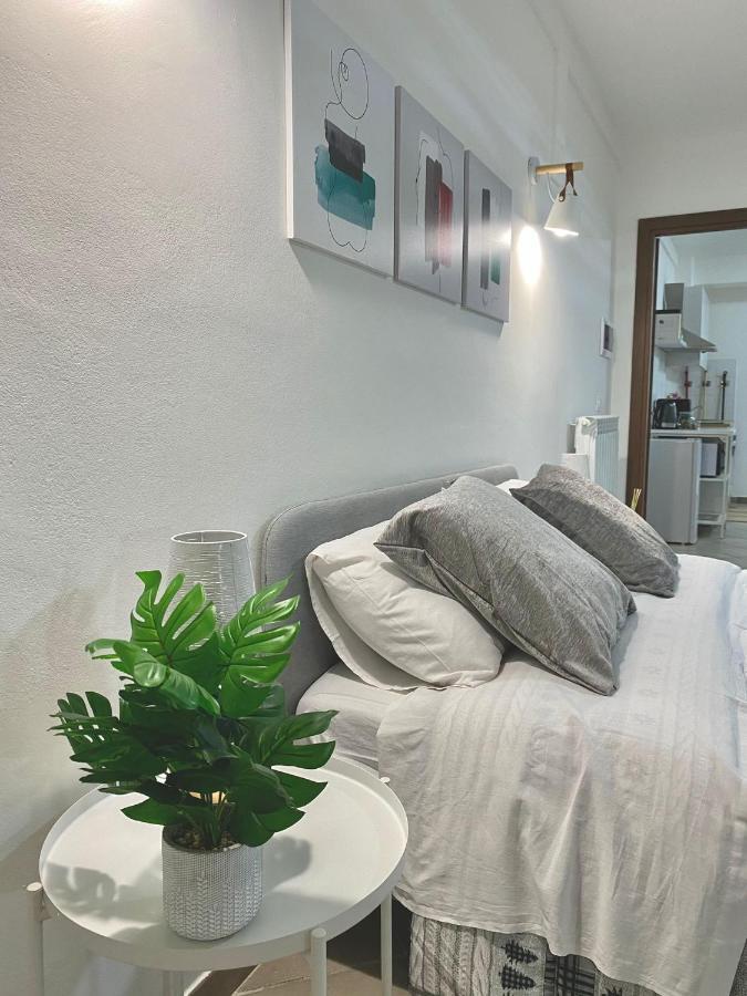 Castelli Loft Apartment Albano Laziale Exterior photo
